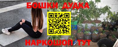 apvp Боровичи