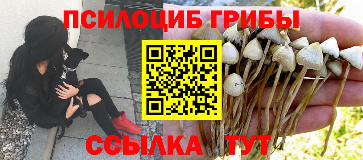 Псилоцибиновые грибы мицелий Воронеж